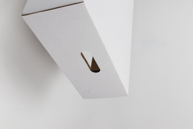 صندوق سمك الورق المقاوم للماء | حل تغليف الاستزراع المائي الصناعي