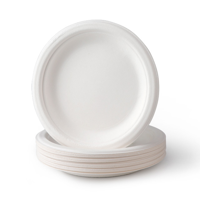 صينية ورق قصب السكر يمكن التخلص منها